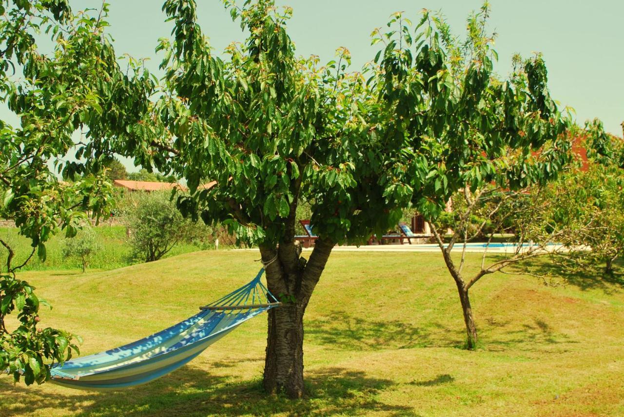 Holiday Home Dorina Barban Екстериор снимка