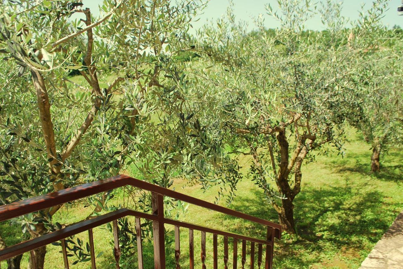 Holiday Home Dorina Barban Екстериор снимка