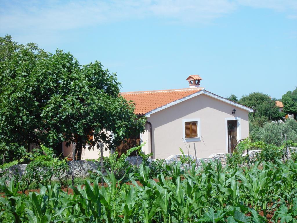 Holiday Home Dorina Barban Стая снимка